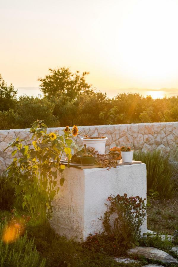 Villa Daly Primošten Dış mekan fotoğraf